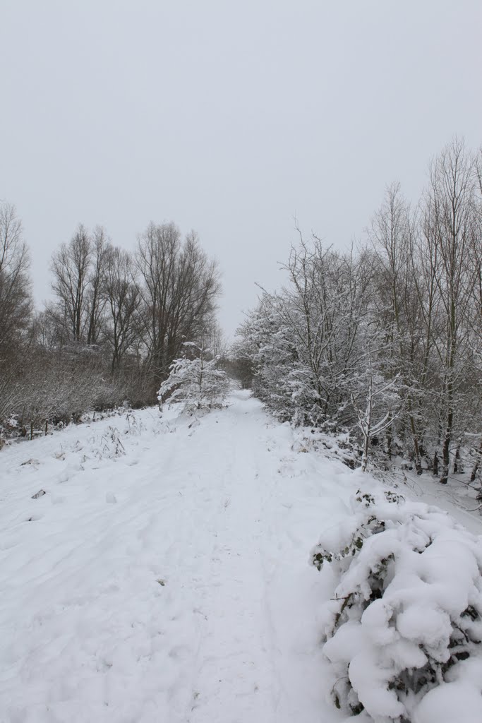 Ijzig pad grenzend aan baggerput Haaften winter 22-12-2010 by Looney33