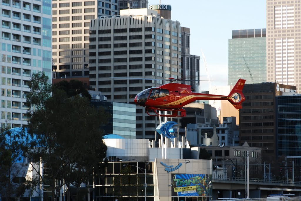 Helicopter, Southbank, Melbourne, 2009 by Csillag Gabor