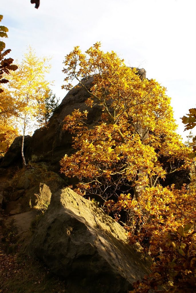 Teufelsmauer Timmenrode (Harz) - Kammweg by Atheistin