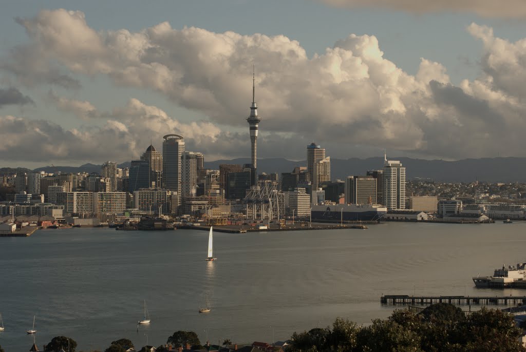 Auckland, 2009 by Csillag Gabor