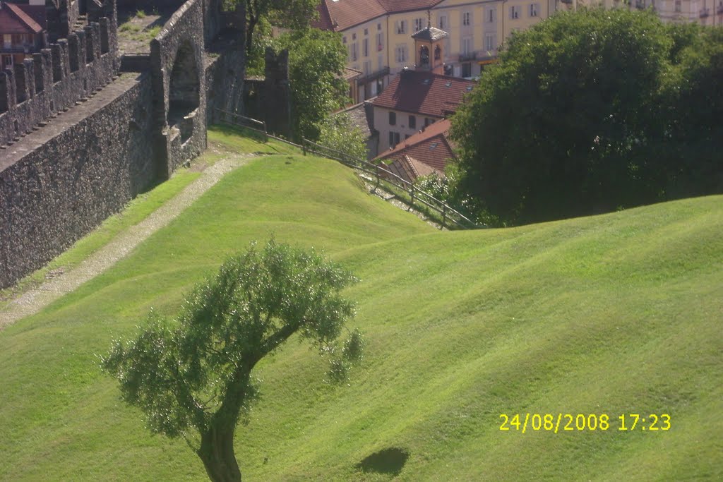 Castello Bellinzona by dany66