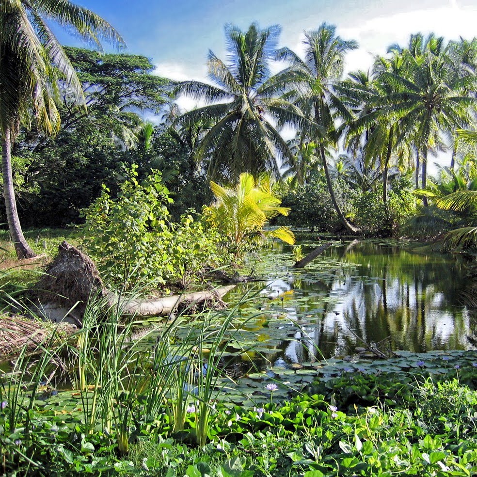 Huahine, Polynésie by Pom-Panoramio? YES !