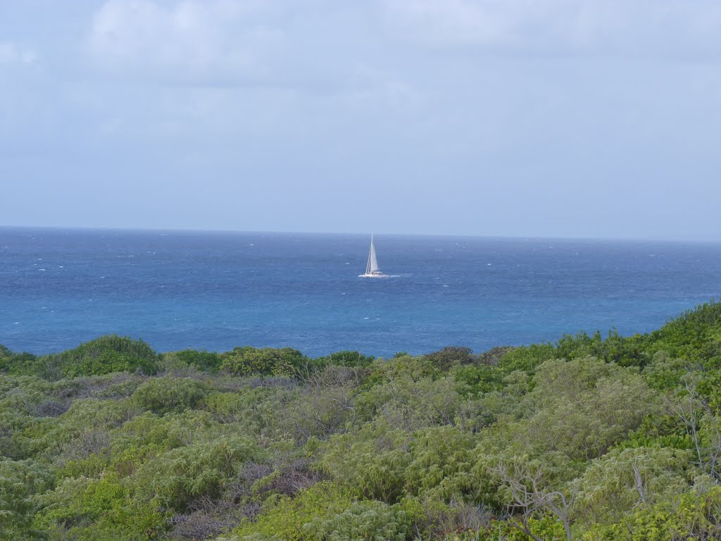 Saint François - Pointe des Châteaux (2010) by greg-007