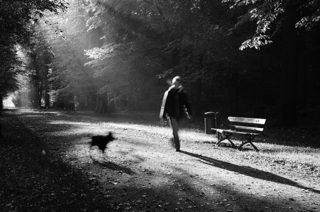 Sonntag früh im Großen Garten, Dresden by Michael Schmieder