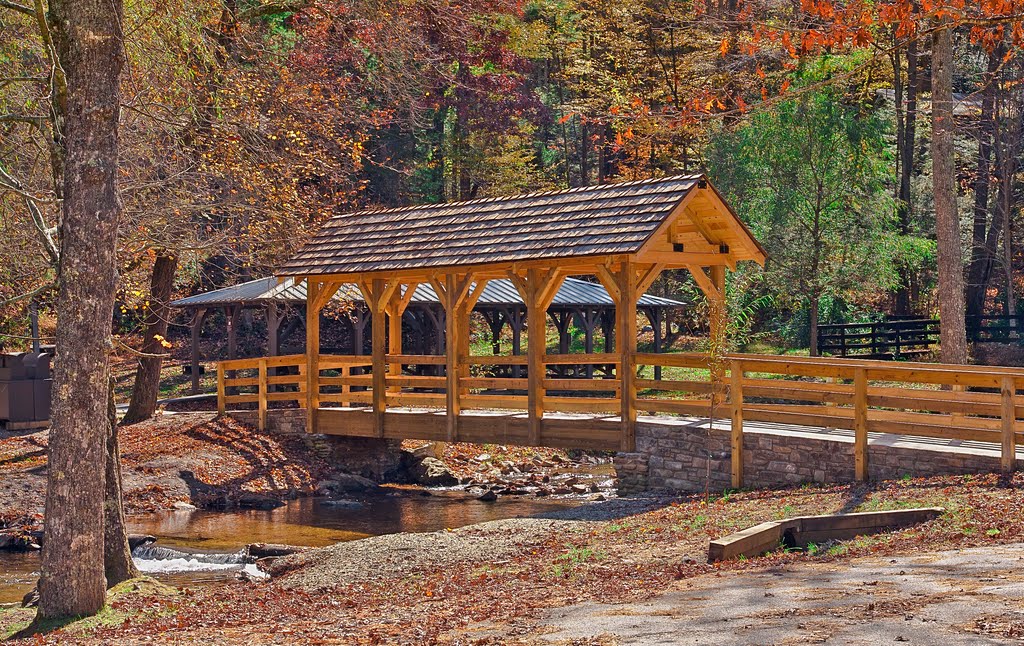 123) Blairsville GA - Vogel SP - footbridge over Wolf Creek feeding Lake Trahlyta [308] by Houckster