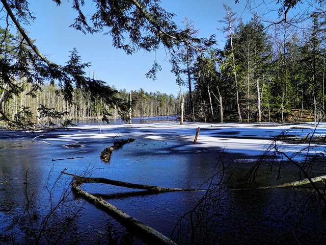 Pond Vista in Durham Point NH by Scott Finley