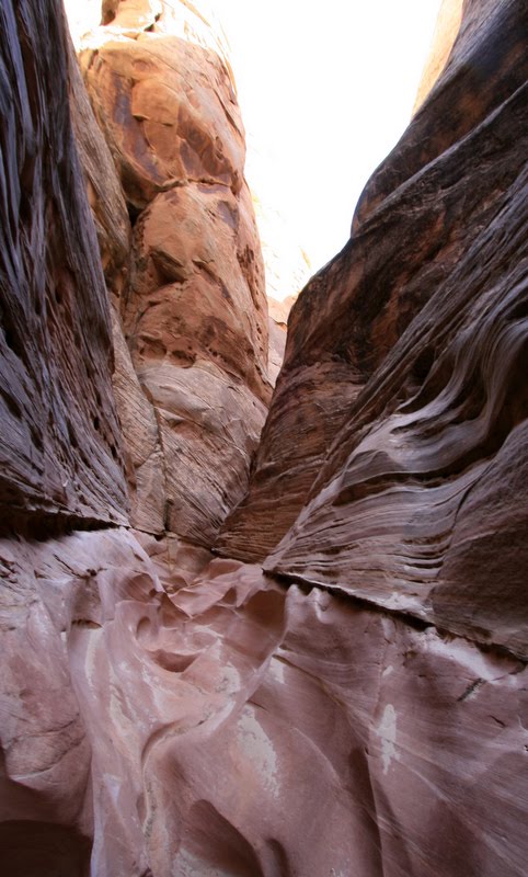 Converging strata, Little Wild Horse Canyon by Maria Honeycutt