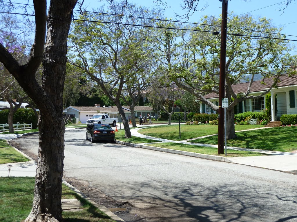 Albright Street - Landscape & Architecture by Alan Fogelquist