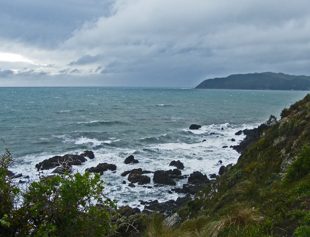 Porirua Harbour entrance from Terrace Road by Bill Ferris