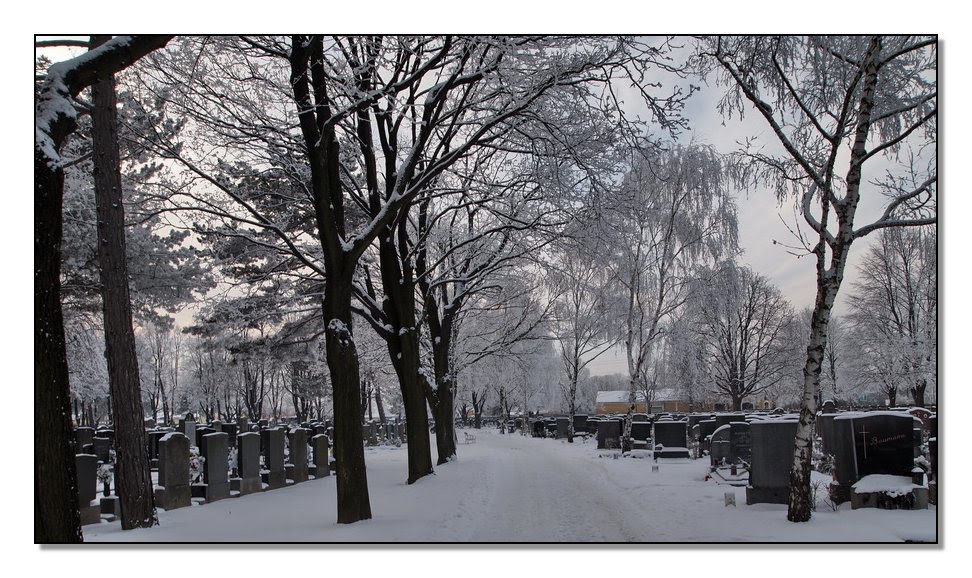 Stammersdorfer Friedhof im Winter 2010/11 by AustrianAviationArt