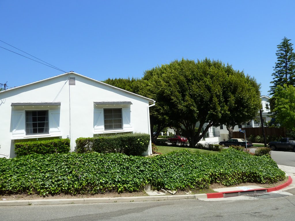 Landscape & Architecture on Monument Street & Bestor Blvd. by Alan Fogelquist