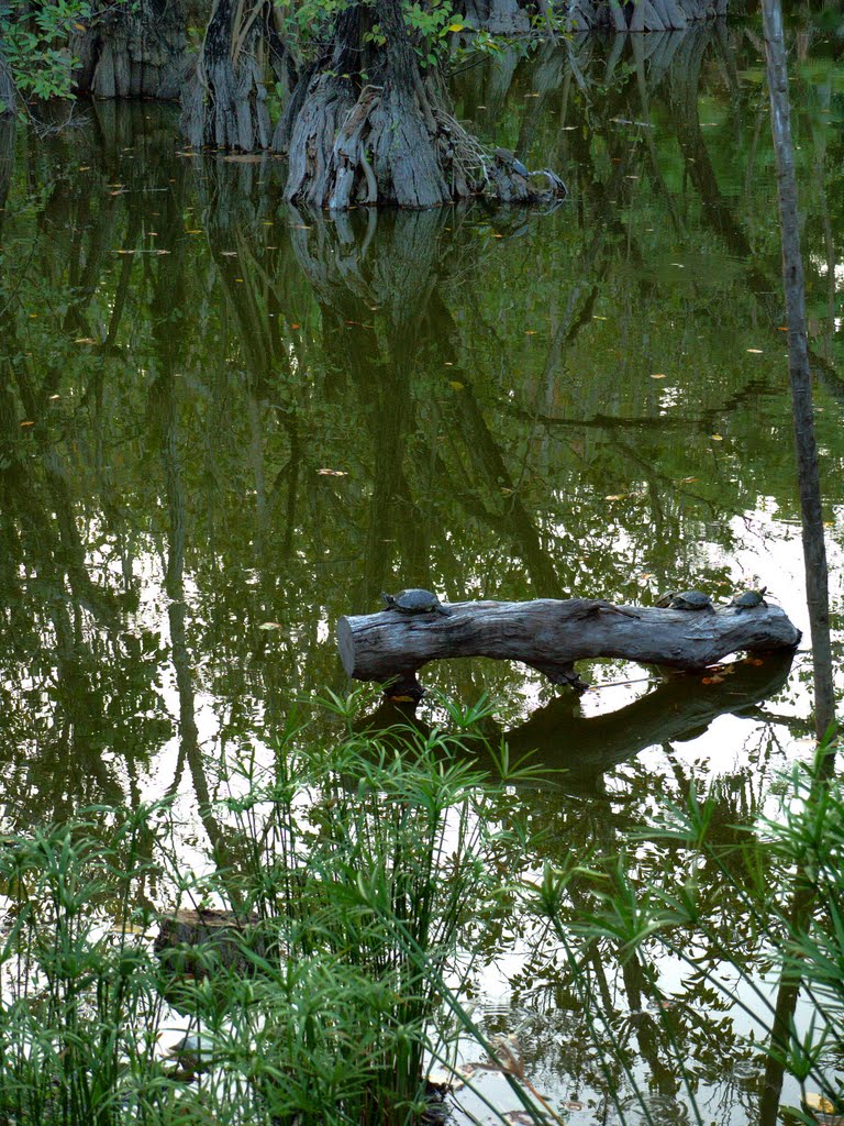 Parque Kabáh, Cancún. México. by Antonio Cristerna