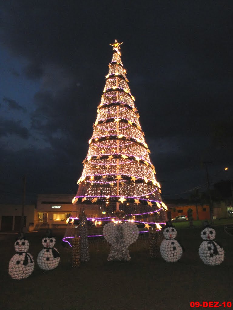 Árvore de Natal em Sertãozinho by MARCO AURÉLIO ESPARZ…