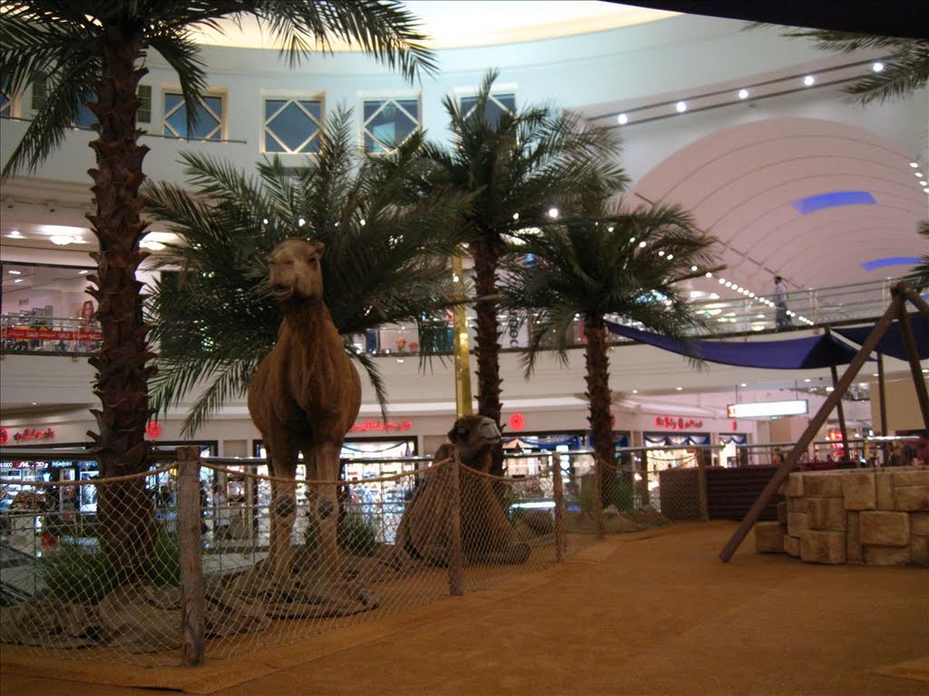 Dubai city Centre Mall by FARSHID.GH