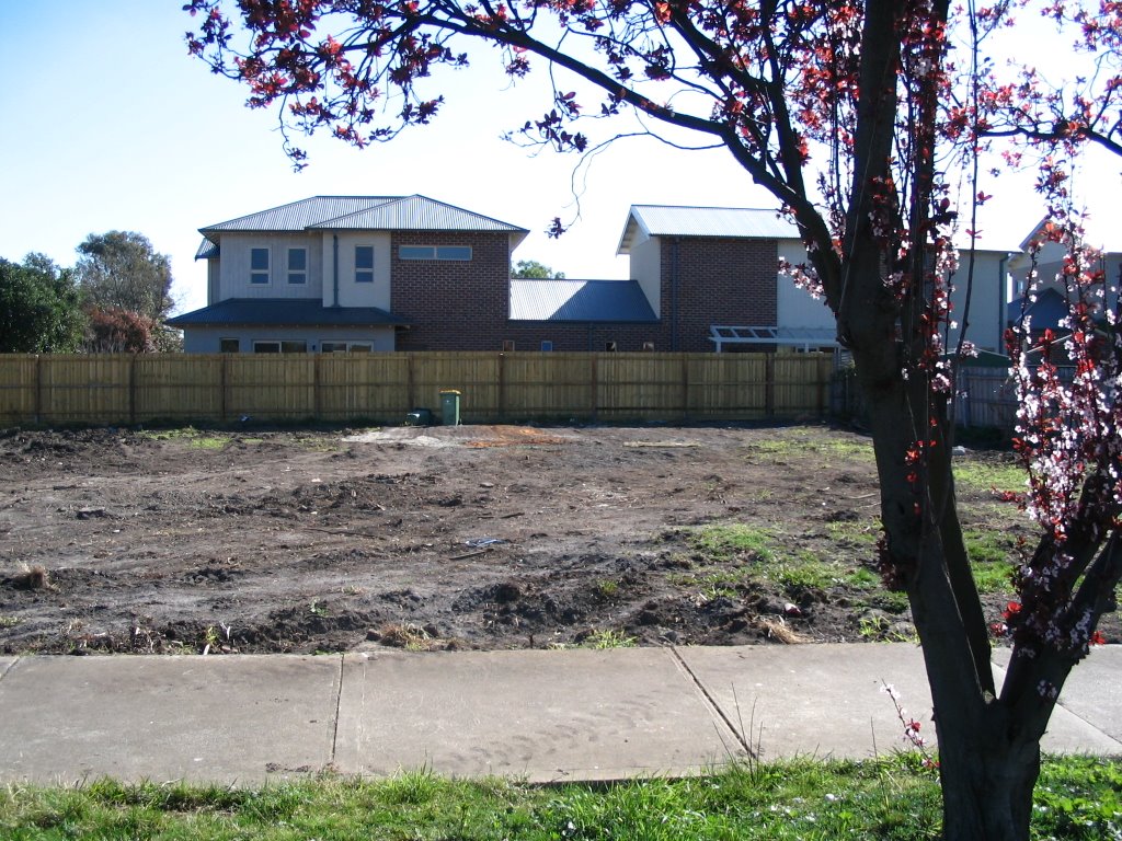 11 - 13 Vine St. Empty land. To be renovated? by ourturf