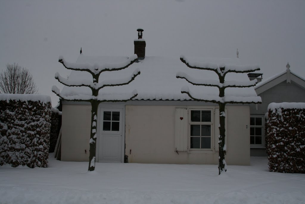 Pand sneeuweditie, Tienhoven. by Carl030nl