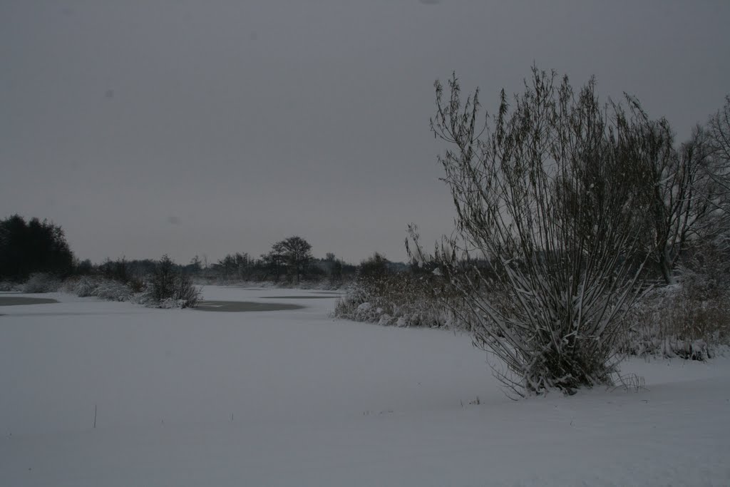 Winters veen, Oudedijk, Tienhoven. by Carl030nl