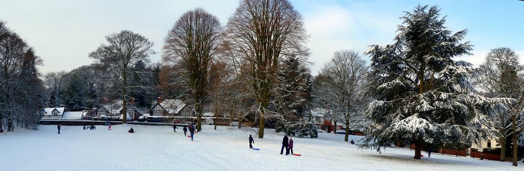 "Sledging on Lower Green, Tettenhall" by Clive Egginton by Clive Egginton