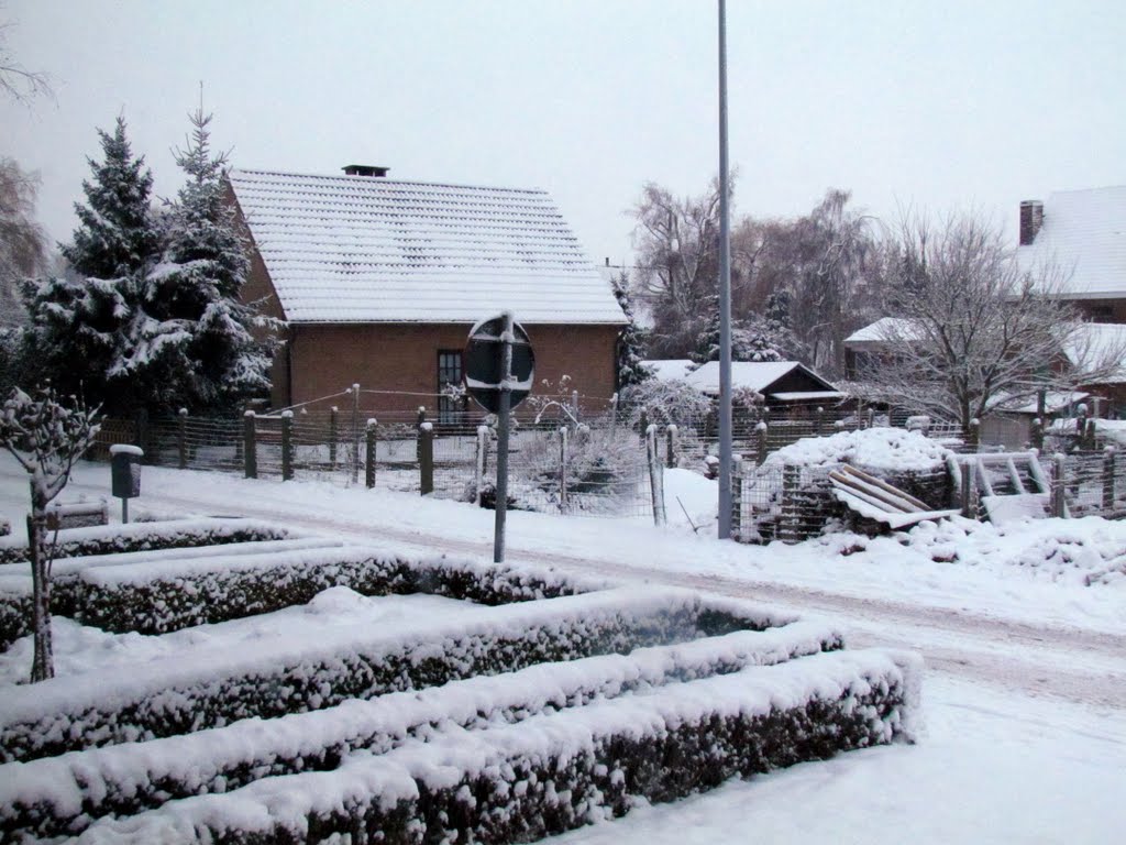 Belgium Wintertime in Merelbeke December 2010 by tinawaldo