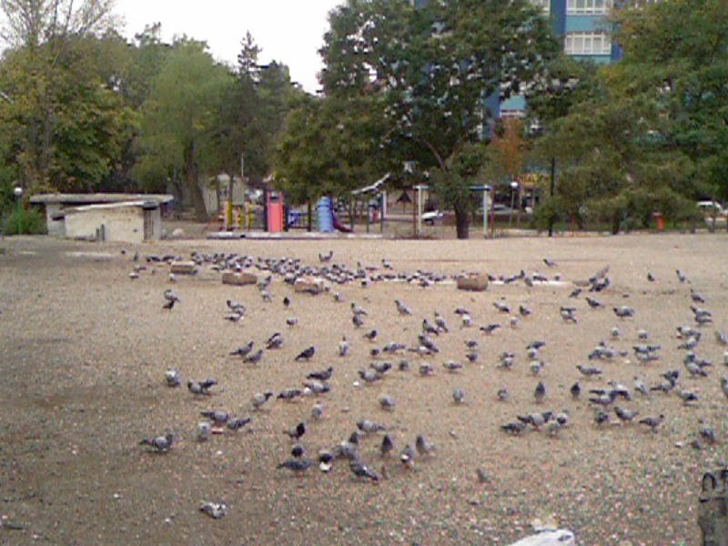 Ankara, Turkey by ismail hakkı çakmak