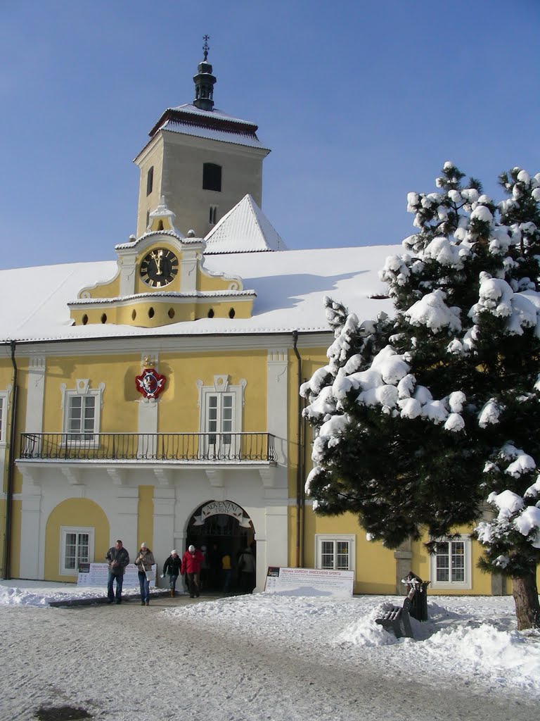 Castle Strakonice by jannovak