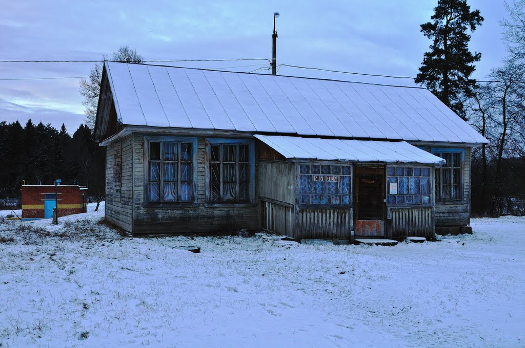 Библиотека в Медном-Власове by Vadim Razumov