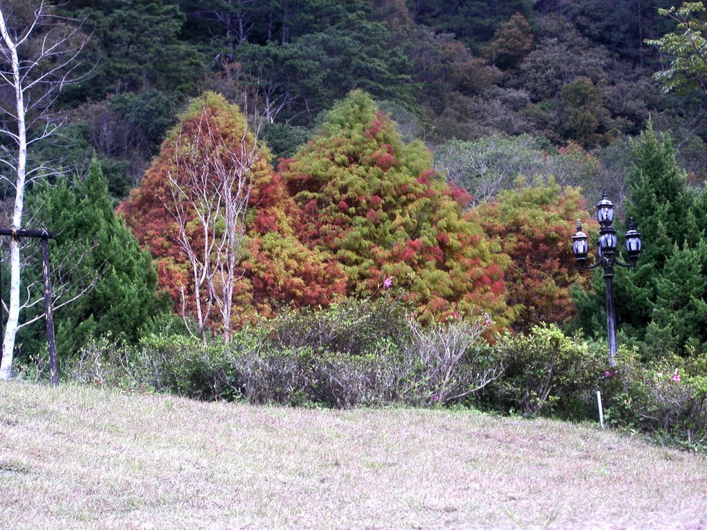 (Min)Aowanda National Forest Recreation Area - 奧萬大國家森林遊樂區 by 啟民(Min)