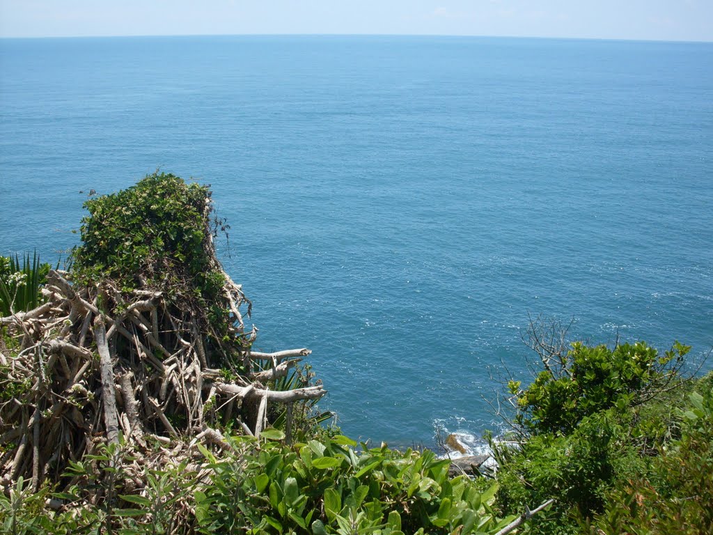 Vista da trilha para Ponta da Sepultura - Bombinhas/SC by JBruno Lopes