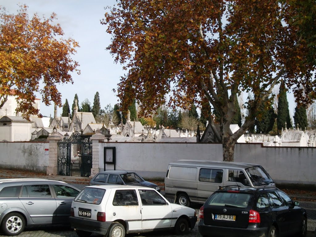 Cemitério em Montemor-o-Novo, Portugal. by Caio Graco Machado