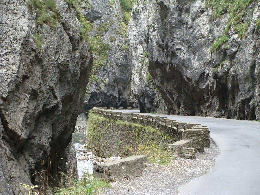 Bicazului-Schlucht in den Ostkarpaten by Contessa