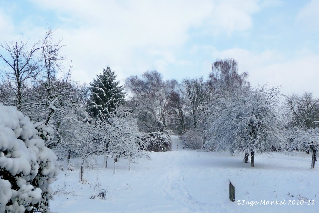 Maintal-Bischofsheim, Winter am Berger Hang by Inge Mankel