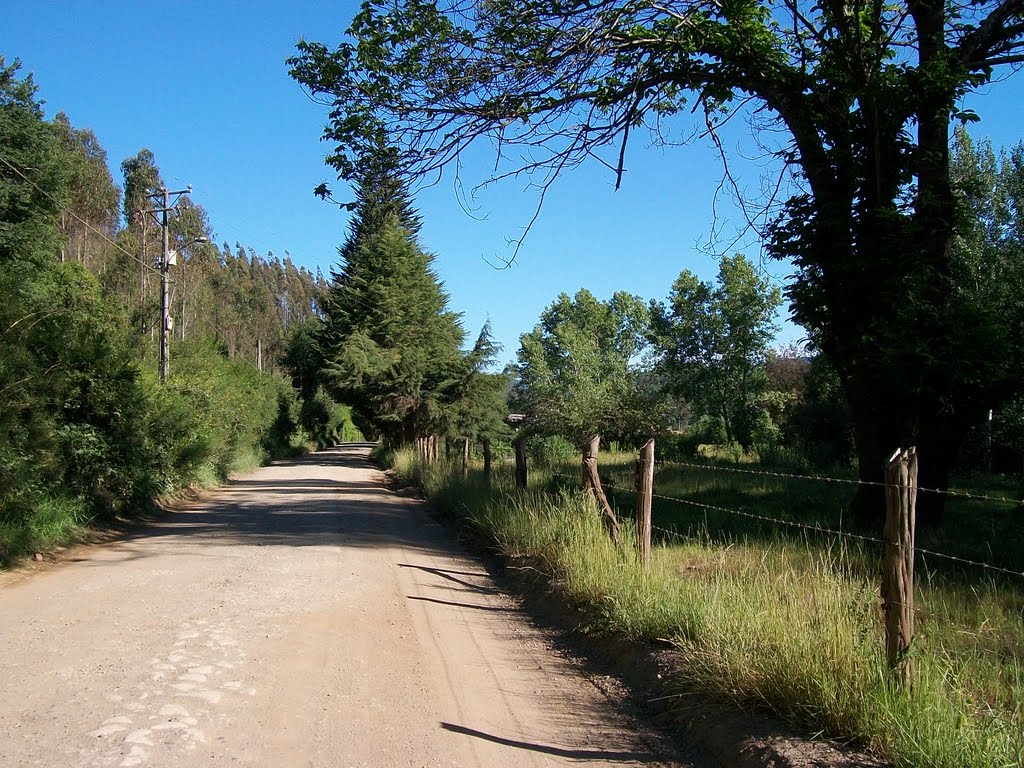 Valle Nonguen by Ismael Gatica Ruiz