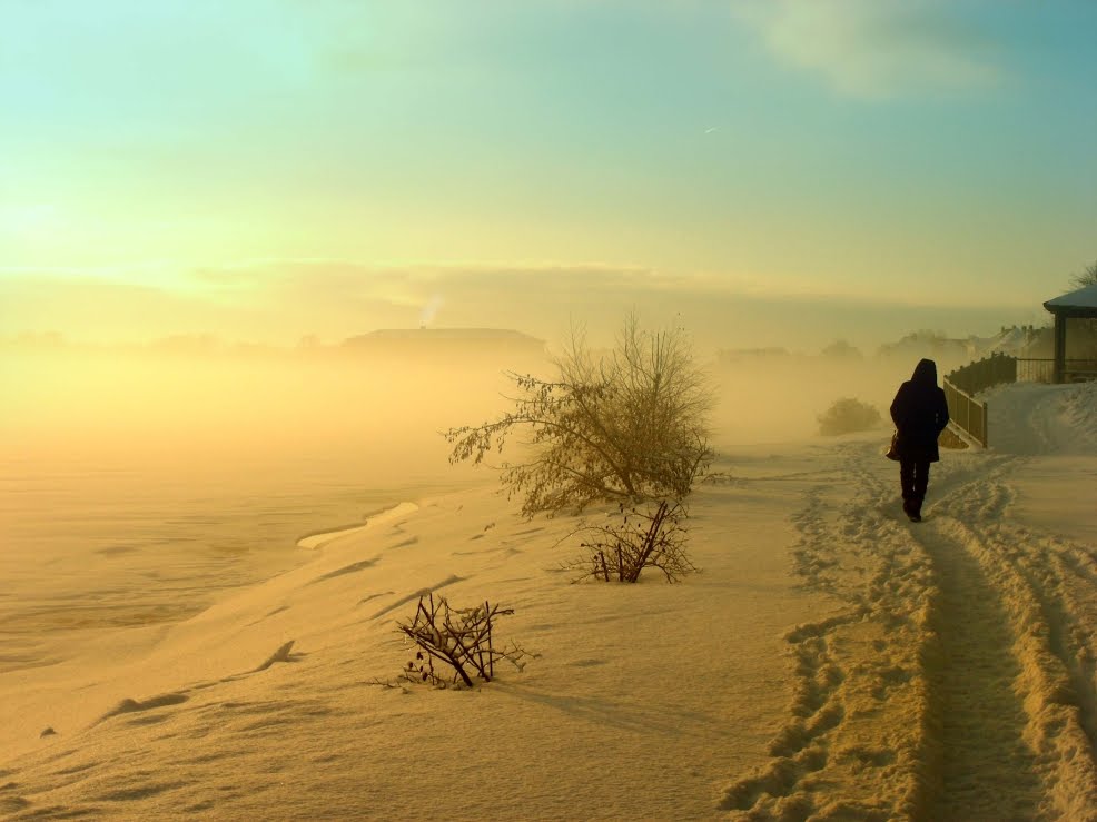 Winterspaziergang by Schleswig-Germany