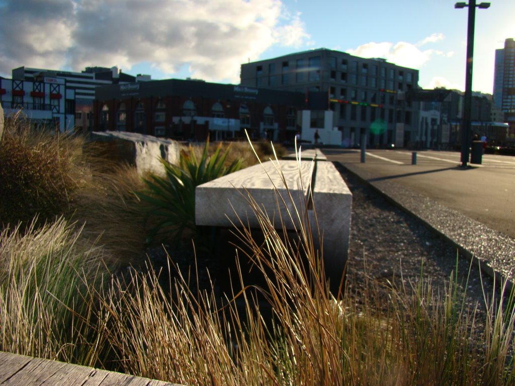 Wellington Harbour by roddnunez