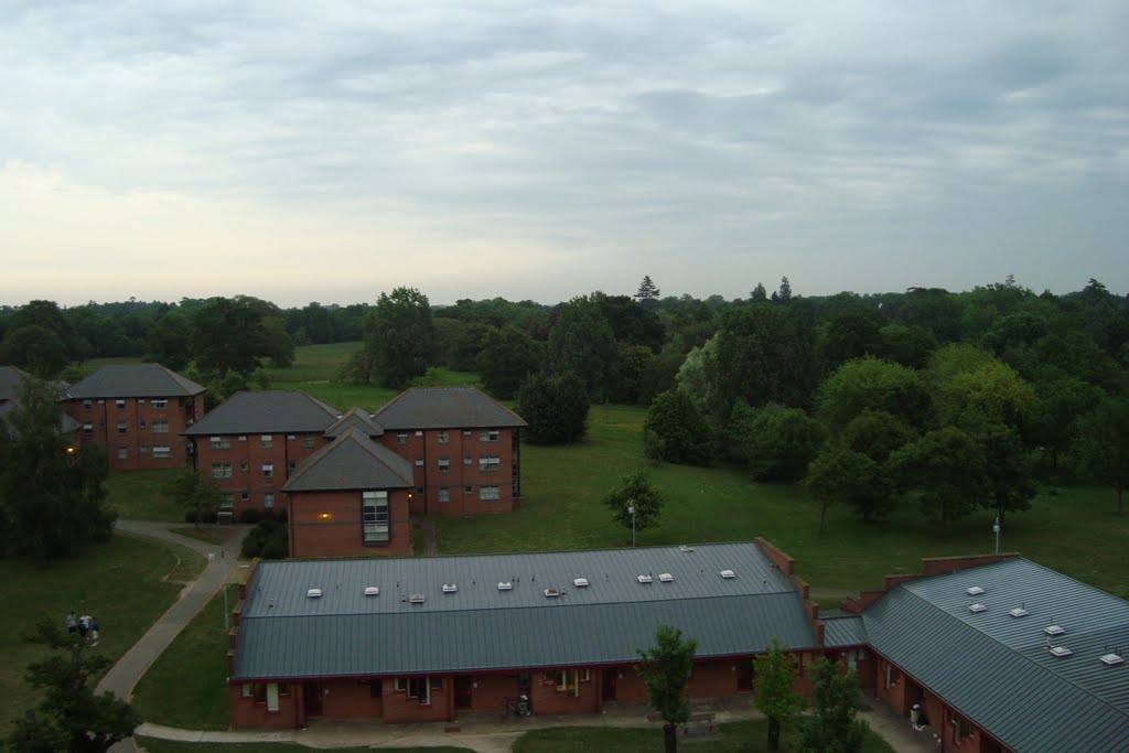 Sunset at Essex University by Syed Zafar Ahmed