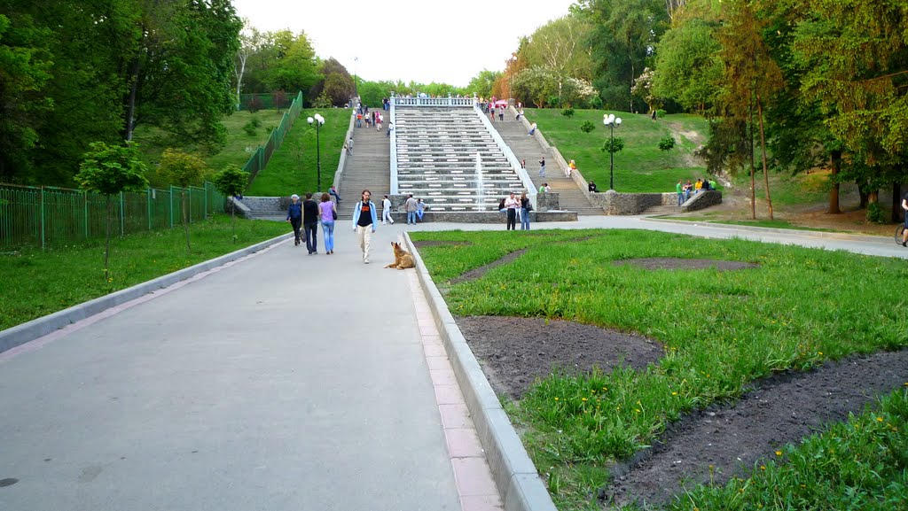 Shevchenkivs'kyi District, Kharkiv, Kharkiv Oblast, Ukraine by Максим Мизинка