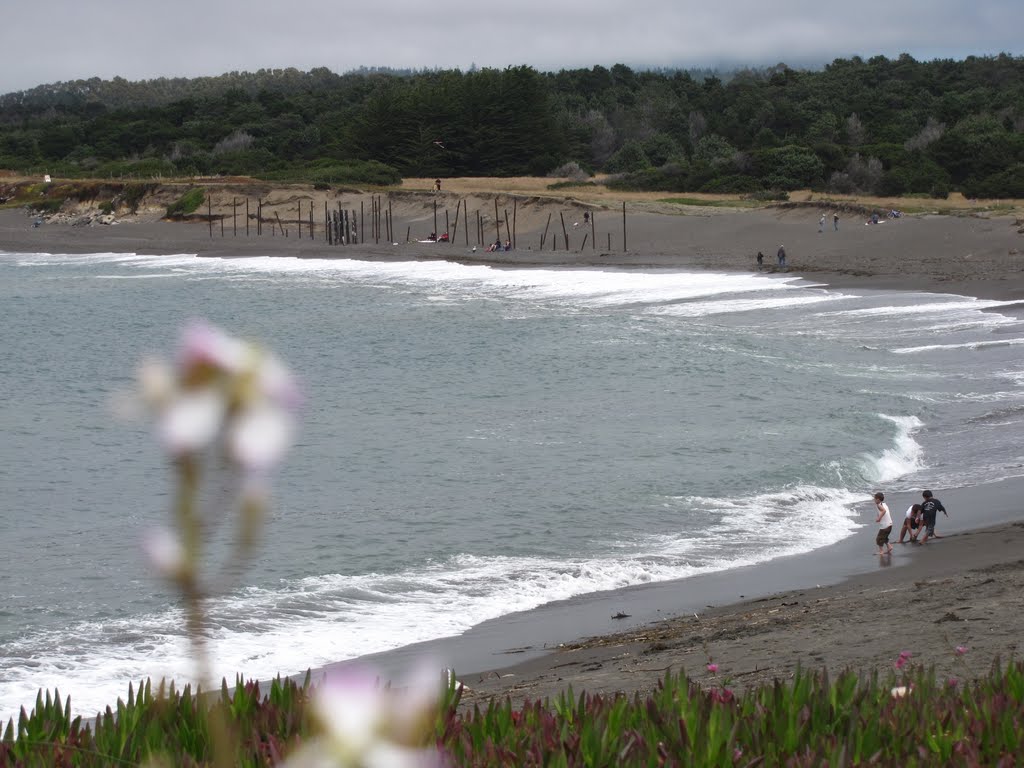 Cleone Beach, Mackerricher State Park by traveler101