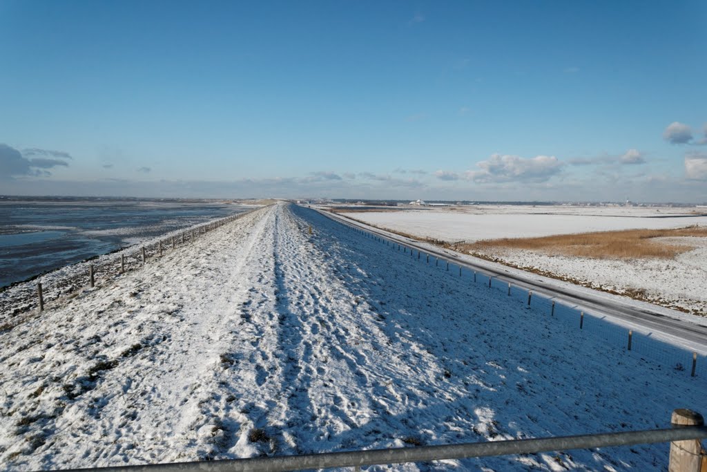 Texel - Molwerk - De Petten - View NW on Mokbaai & De Petten by txllxt TxllxT