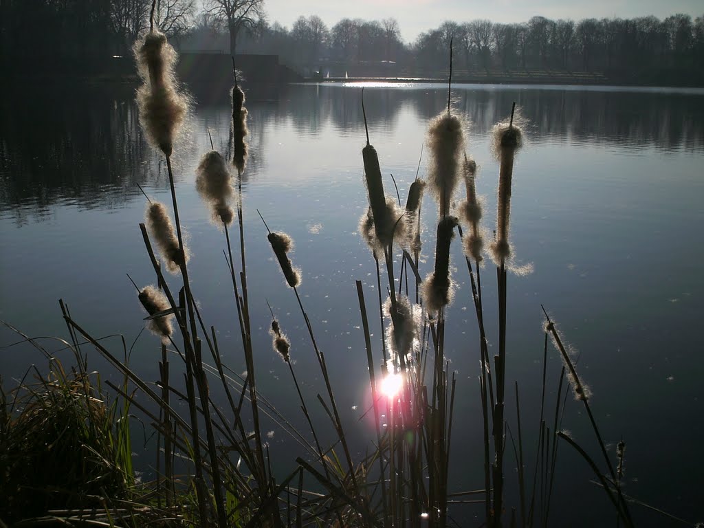 Der See im Februar by Federkralle