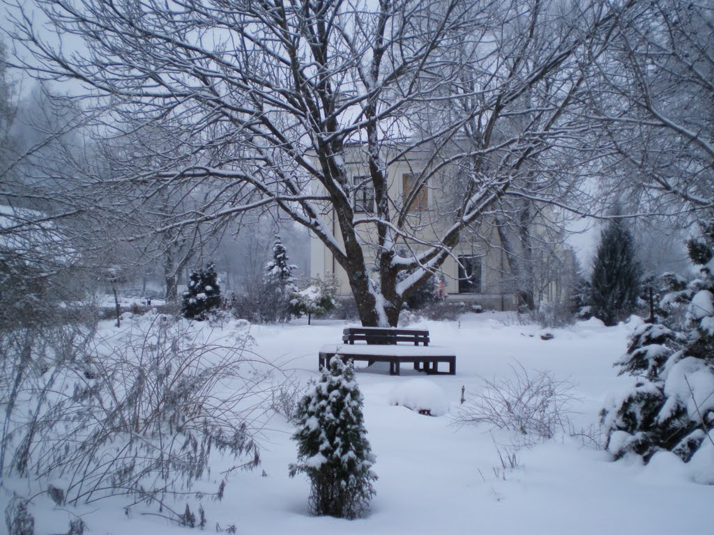 Sodelis prie uosio laukia Šv. Kalėdų :) - Merry Christmas ! by Gintarele