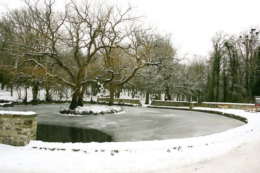 The duck pond at Fonmon by filz123