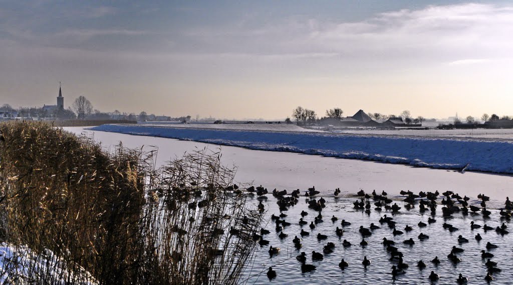 Ice is closing in on hundreds of waterfoul near URSUM. by Feika