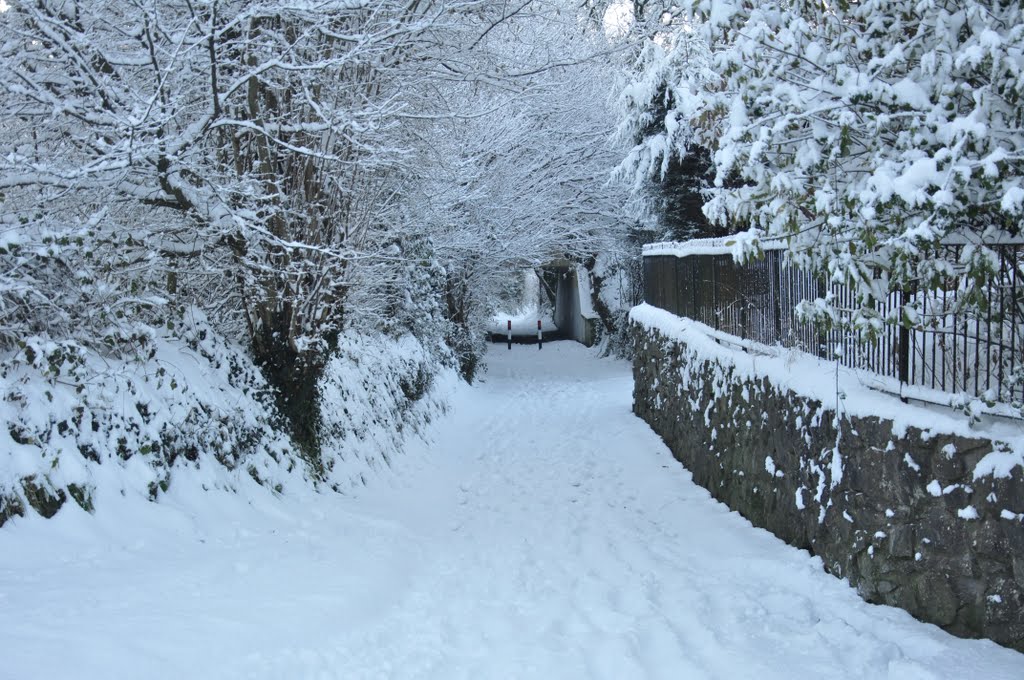 Heronstone Lane in heavy snow by lawsonjr