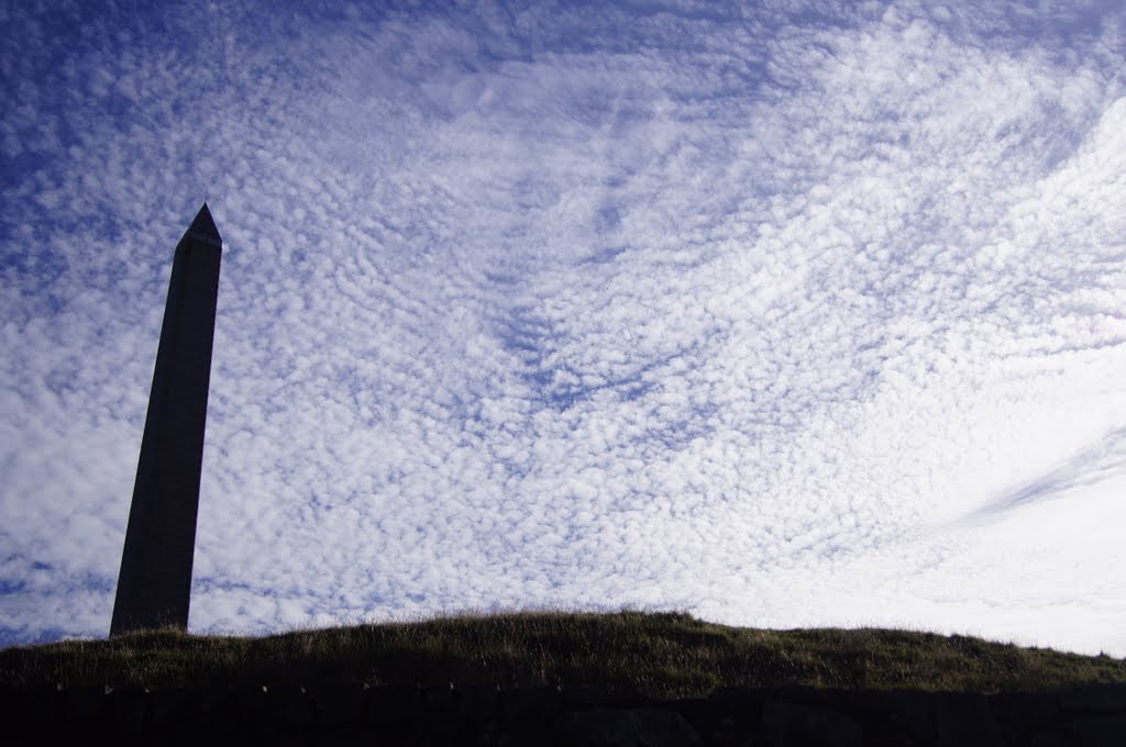 One Tree Hill (Maungakiekie) Obelisk... by StuartCannan