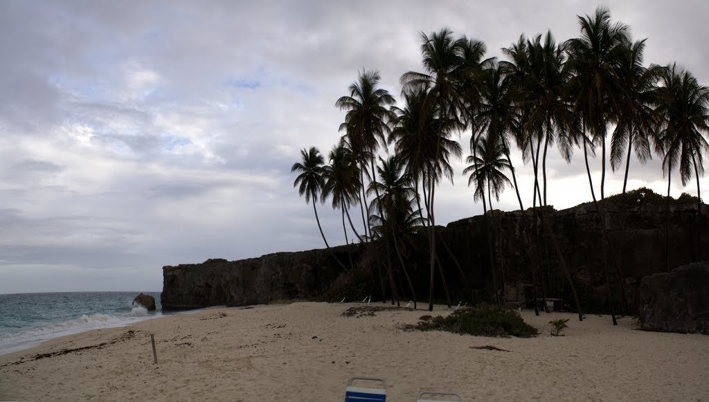 Unnamed Road, Apple Hall, Barbados by niazdokrat