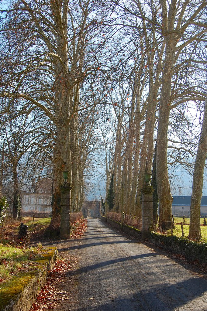 Château de Lévinhac by Les Argonautes