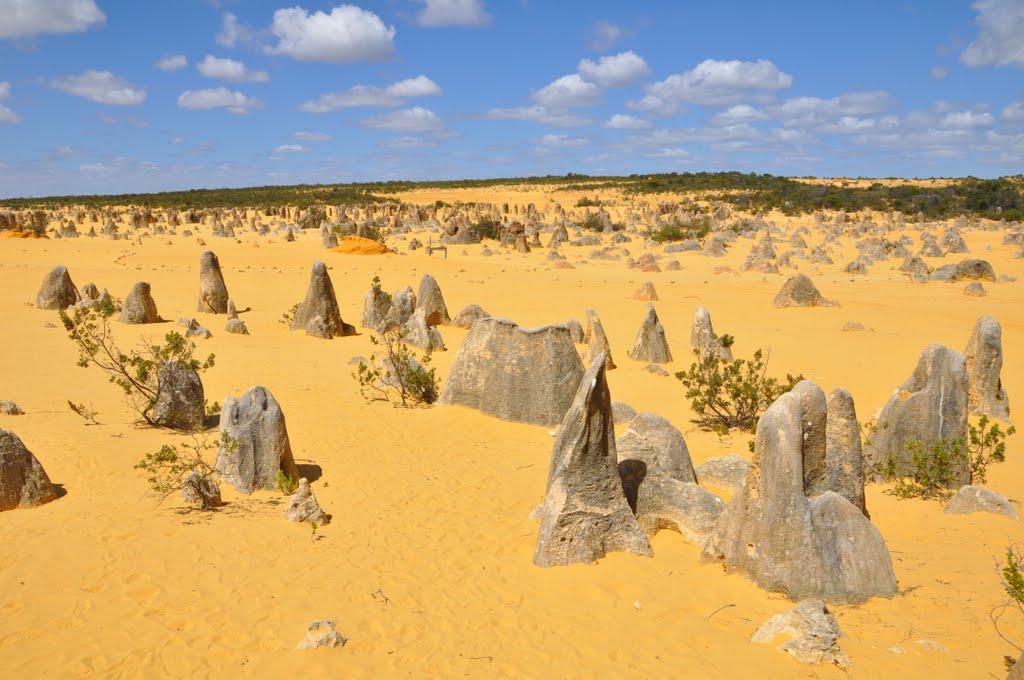 Deserto dei Pinnacoli, Parco Nazionale Nambung - Perth by Giuseppe Caterina - …