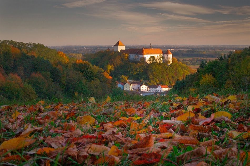 Wörth im Herbst by hei57