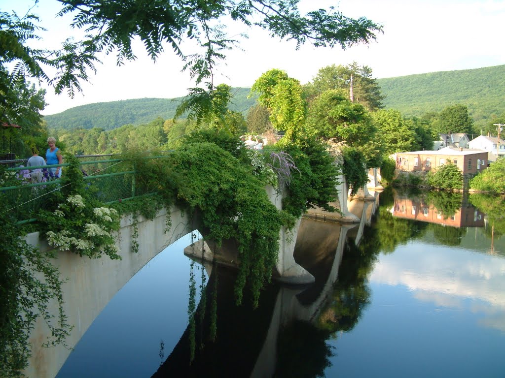 BRIDGE OF FLOWERS Shelburne Falls by aitchie