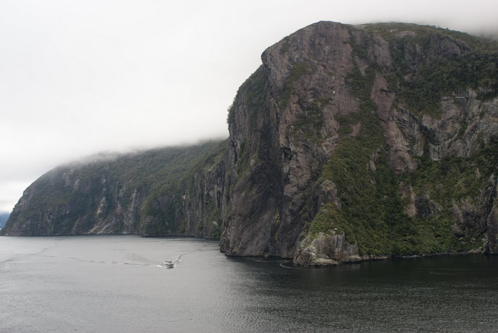 A ROCK in Milford Sound by suburbujo